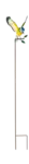 ירגזי כחול סקרן