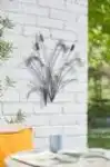 קנים ושפיריות