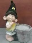 עציץ דקורטיבי