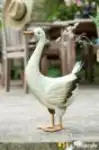 ברווז מעוצב לגינה