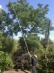 מוט טלסקופי