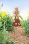 דחליל גינה