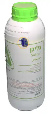 גליגן