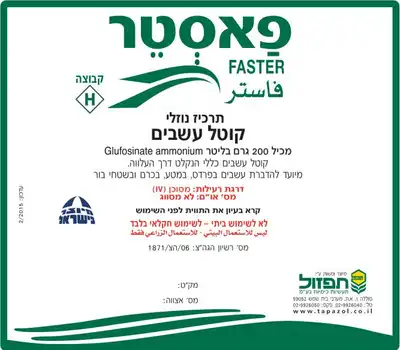 פאסטר