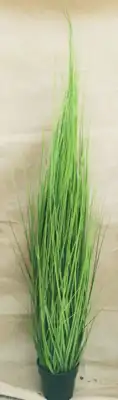 2110-14 עשבייה דמוי מחטים