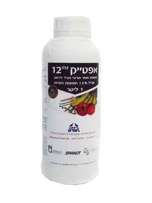 אפטייק