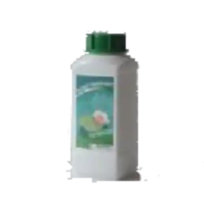 Pond Bacteria