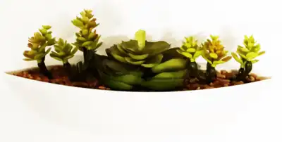 עציץ נוי בכלי 20 ס