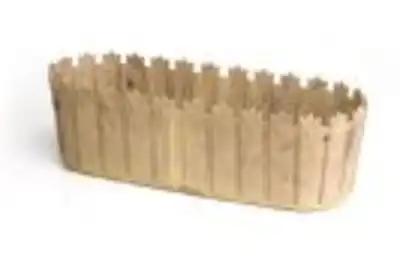 אדנית טוליפ