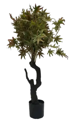 עץ שלכת ירוק 130ס