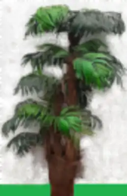 קראגוניס 