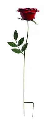 ורד בר על יתד -  75 ס