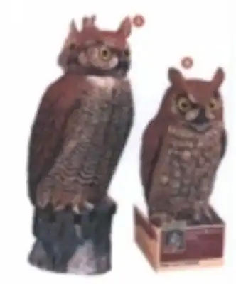 ינשוף להרחקת יונים