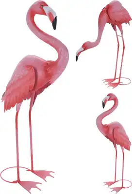 פלמינגו