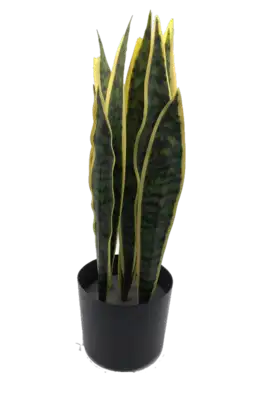 סנסינוריה מלאכותית 