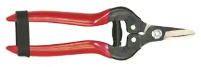 מקטפה K11