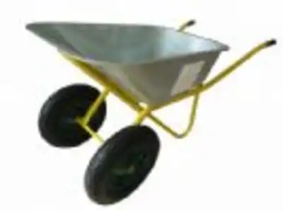 מריצה
