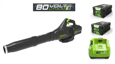 מפוח80V+שתי סוללות 2.0AH+מטען