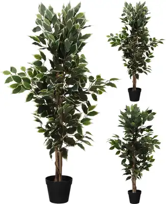  פיקוס סינטטי
