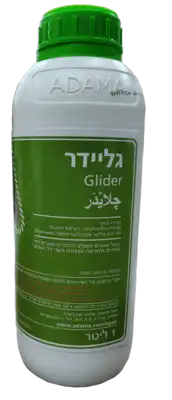 גליידר