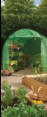 חממת מנהרה