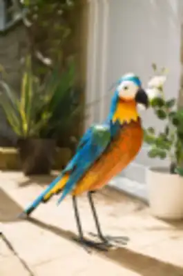 תוכי צבעוני דקורטיבי