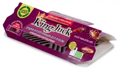 מלכודת קינג ג'וק