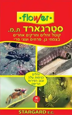 סטרגארד 30 סמ