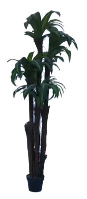 יוקה מחומש מלאכותי 165 ס