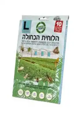 הלוחית הכחולה