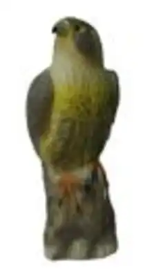 נץ להרחקת יונים
