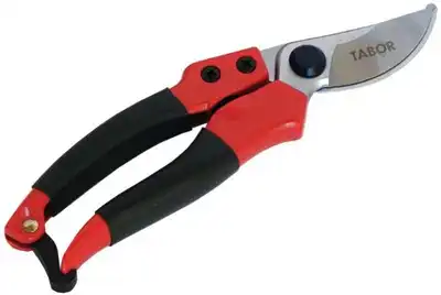 מזמרה