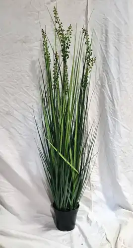 עשבייה פרחונית 1117