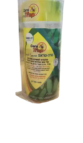 סרה טראמפ