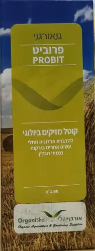 פרוביט