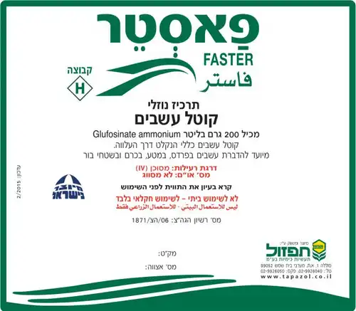 פאסטר