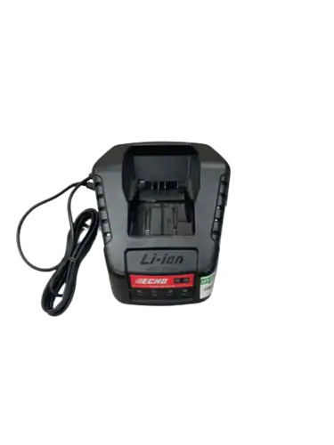 מטען מהיר 56V אקו