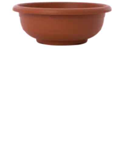קערה כנרת 