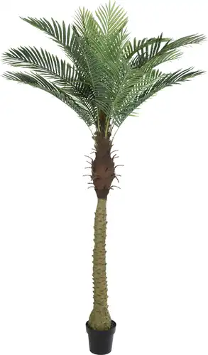 דקל מלאכותי