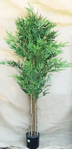 2126-18 עץ במבוק