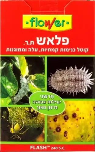 פלאש כנימות 10 מל FLOWER