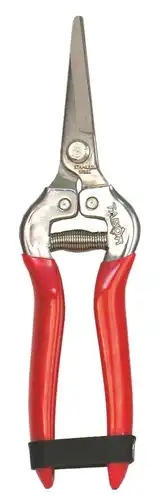 225661