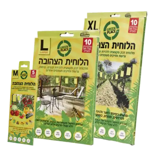 לוחית צהובה