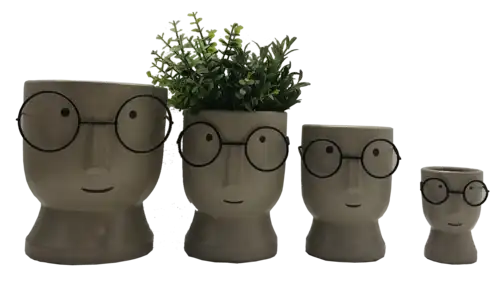 עציץ פרצוף עם משקפיים 