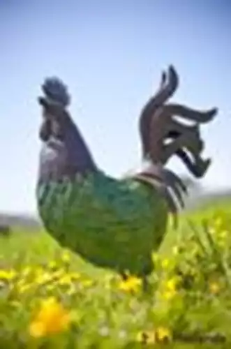 תרנגול ירוק