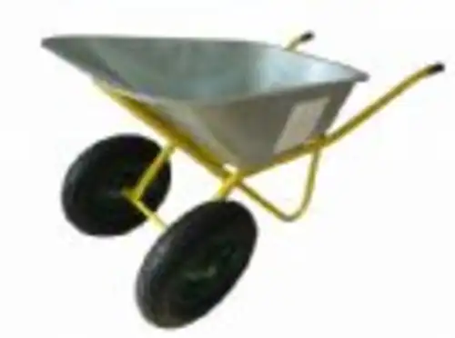 מריצה