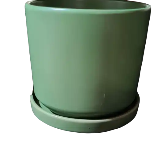 עציץ קרמיקה צילנדר 15 סמ