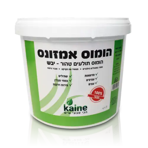הומוס אמזונס