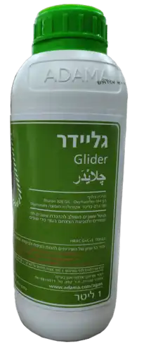 גליידר