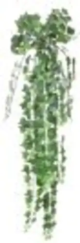 נשפך ירוק מלאכותי